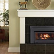 Regency® Energy™ E21 Gas Insert