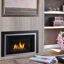 Regency® Horizon® HRI4E Gas Insert