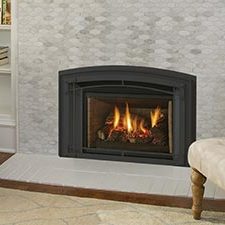 Regency® Liberty® LRI4E Gas Insert