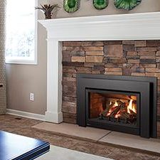 Regency® Energy™ U31 Gas Insert