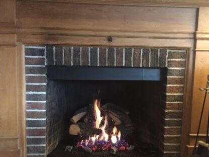 Recently installed Hargrove Log Set
