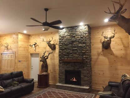 Regency P36 direct vent, propane, fireplace, stonework, hearth and mantel shelf.
