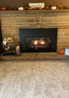 Innsbrook Direct Vent gas insert