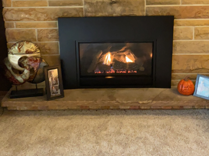 Innsbrook Direct Vent gas insert