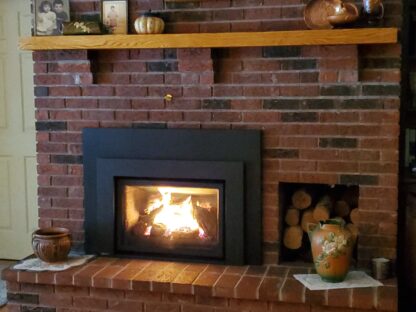 L390 natural gas fireplace insert