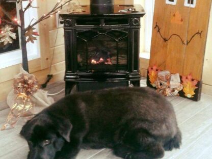 Regency Wood Burning Stove