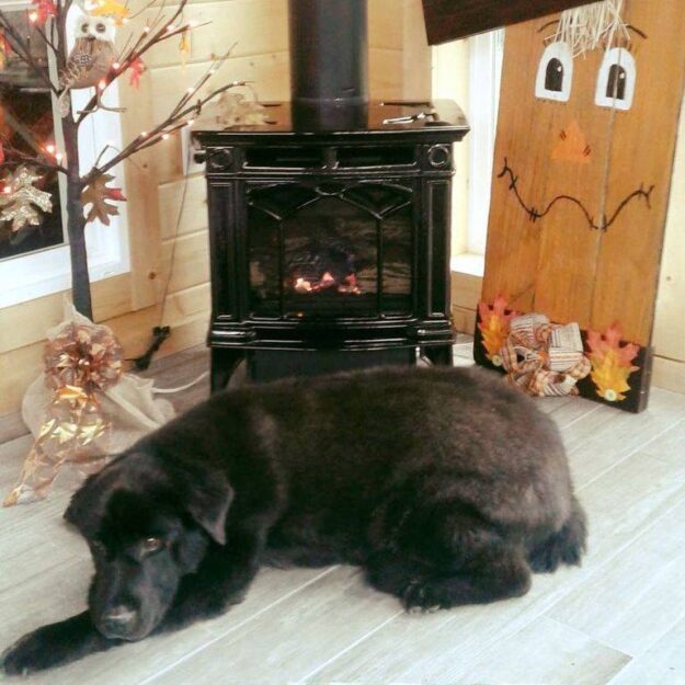 Regency Wood Burning Stove